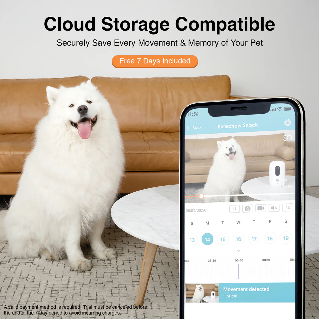 PureChew™ Smart Treat Dispenser