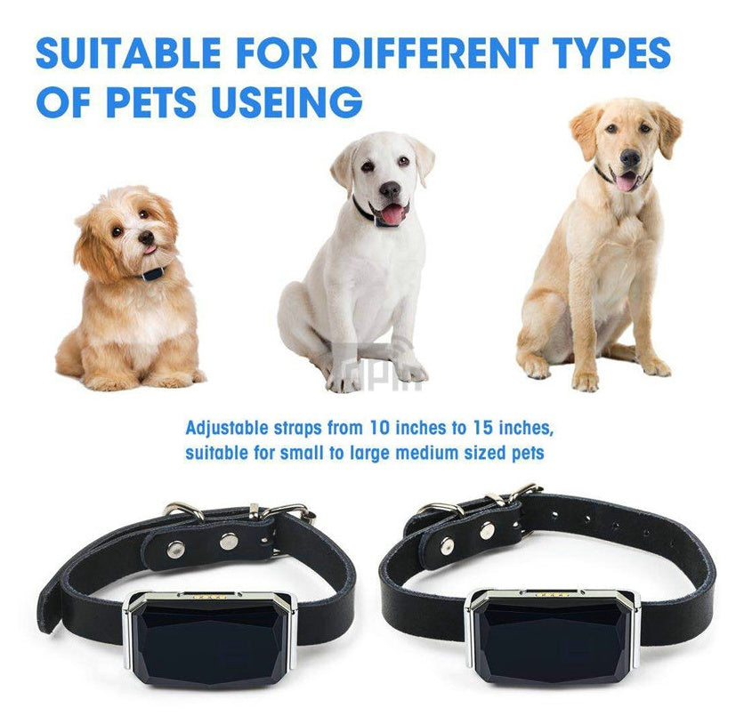 PawGuard™ Multifunction GPS Pet Tracker