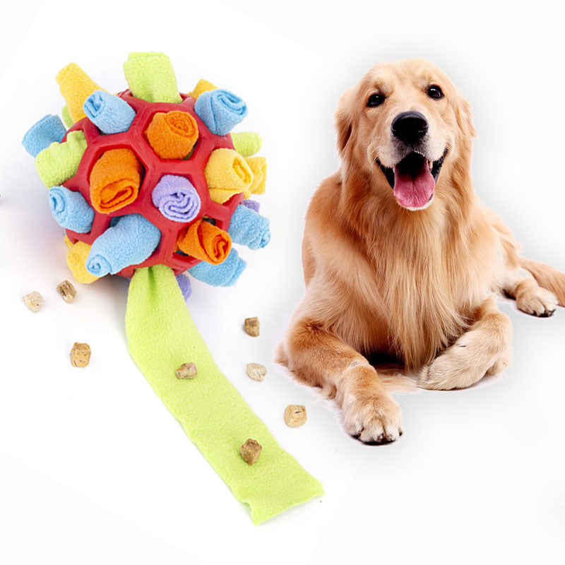 BrainBall™ Interactive Snuffle Toy