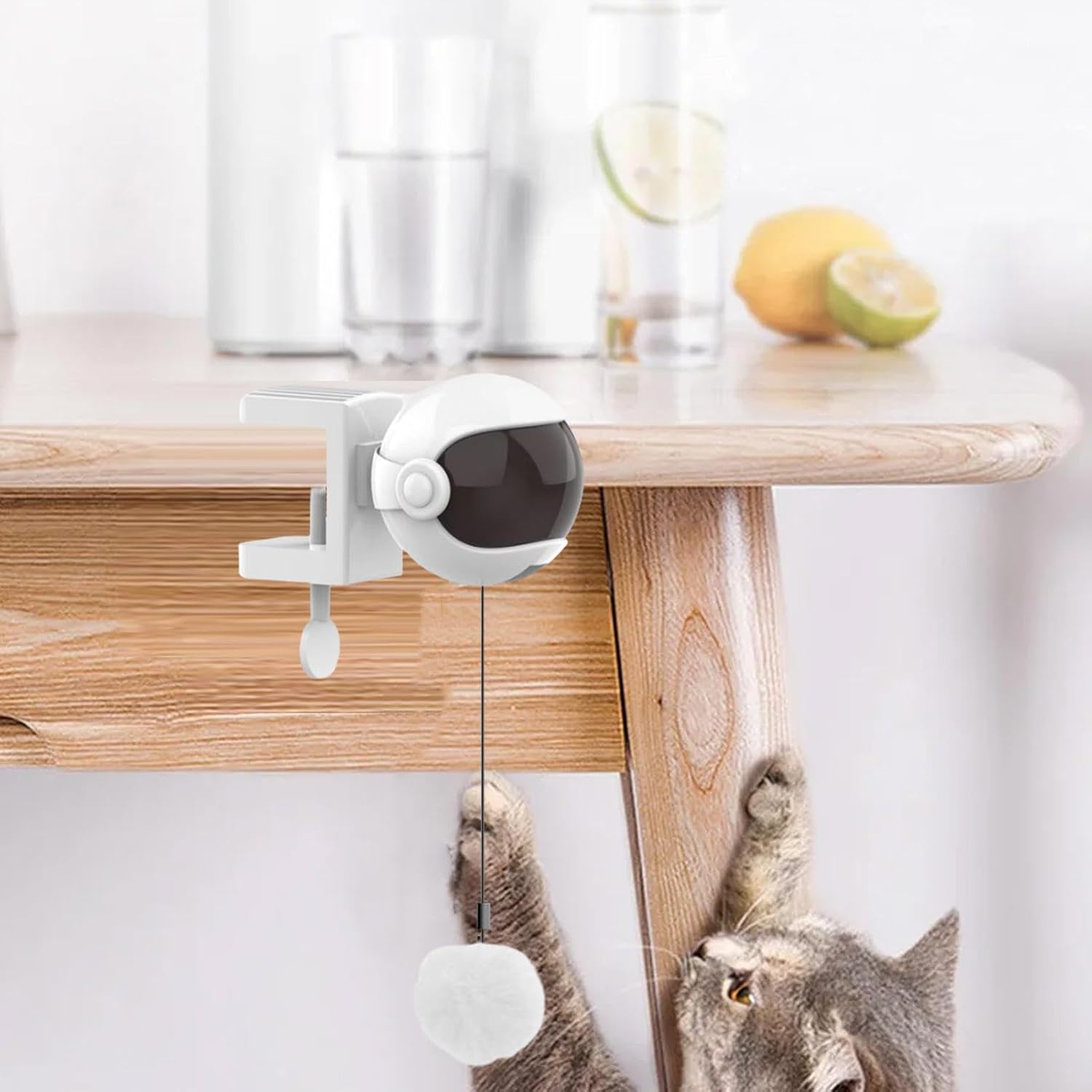 PounceLift™ Automatic Ball Cat Toy