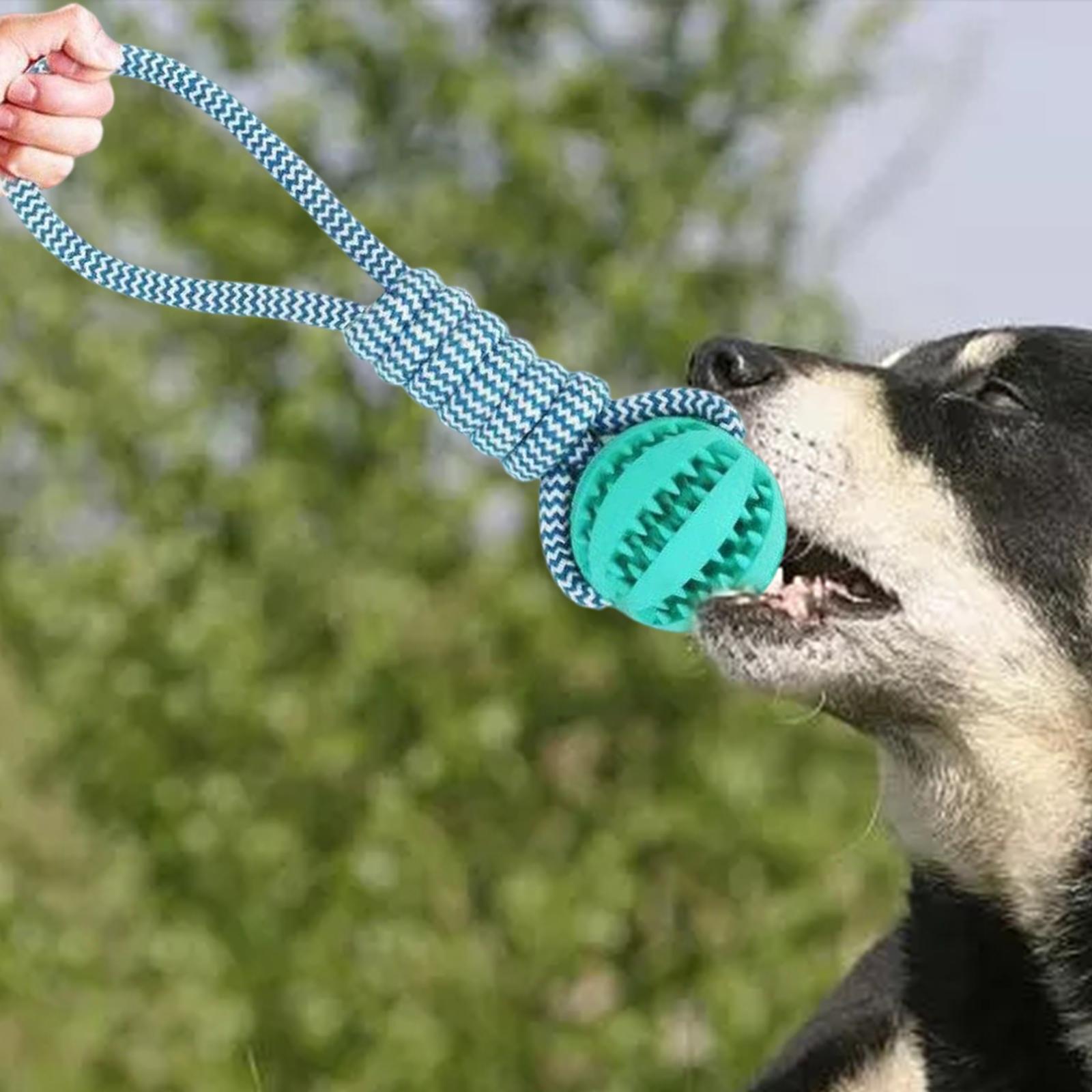 TuffChew™ Bite-Resistant Pet Rope Toy