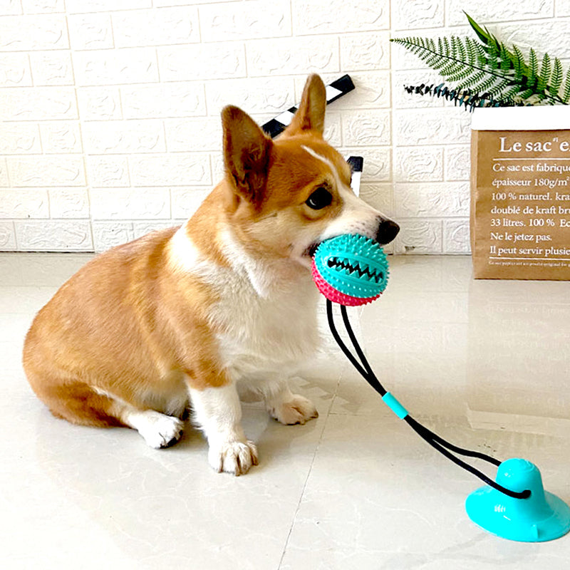 TugMate™ Silicone Suction Chew & Tug Toy